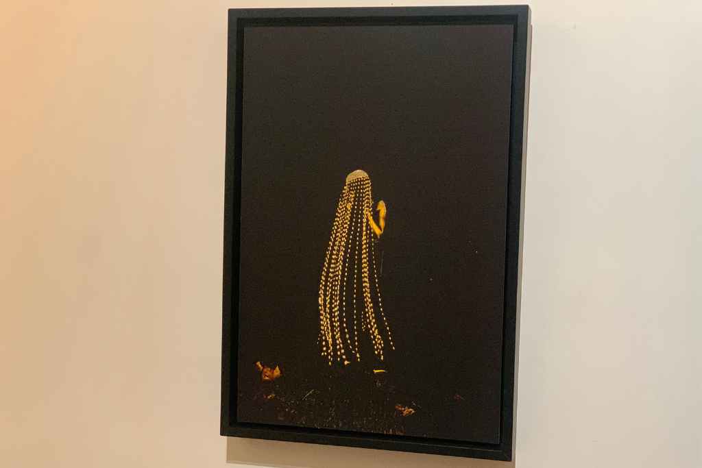 UNE CONSTELLATION DIVINE — Image 3 sur 5