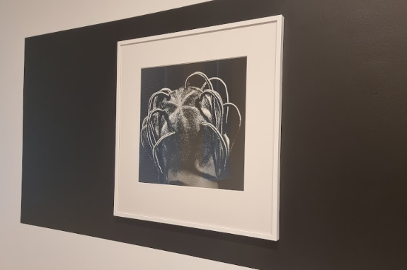 Hairstyles, J.D. ’Okhai Ojeikere